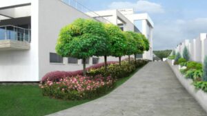 Read more about the article Elevate Your Backyard with These Modern Landscaping Ideas
